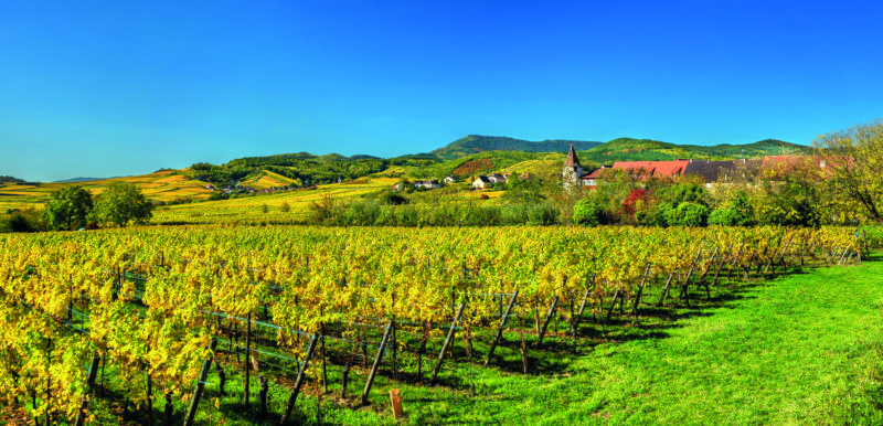 France, Marne, Champagne Ardenne, Reims, Veuve Clicquot champagne winery  sign Stock Photo - Alamy