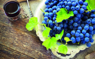 Bourgogne-Franche-Comté: the tastiest snails and the world’s best wines