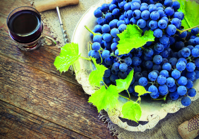 Bourgogne-Franche-Comté: the tastiest snails and the world’s best wines