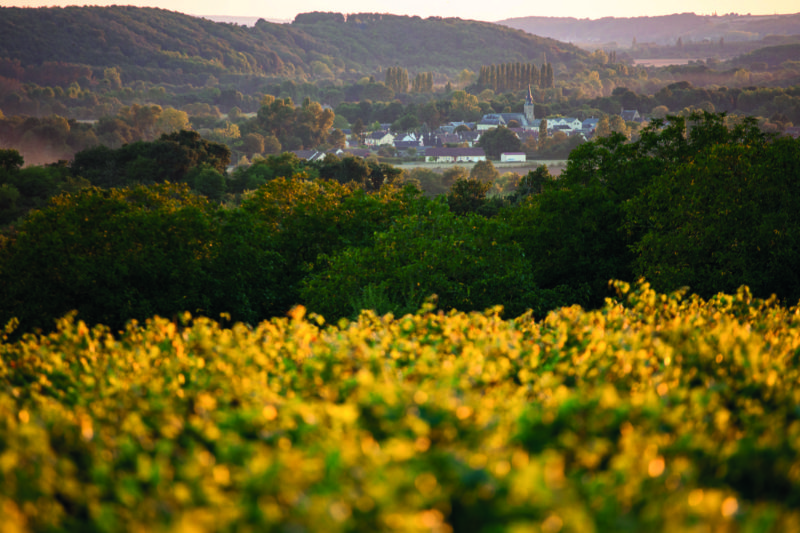 The Vallée du Loir is home to some of the finest wines in France.