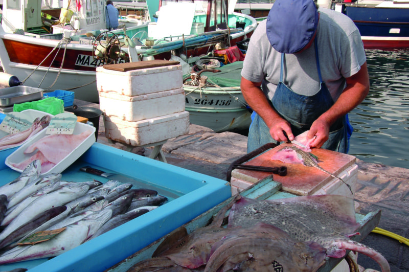Marseille's fish market is quite the whiffy affair but it's the best around.