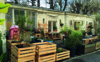 Inside Paris’s secret plant nursery
