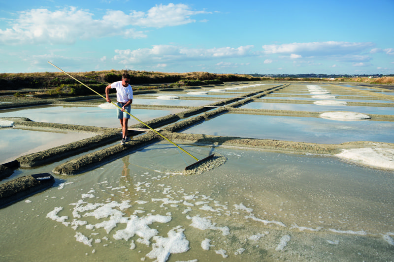 A trip to Pays de la Loire wouldn't be complete without a visit to its salt marshes. 