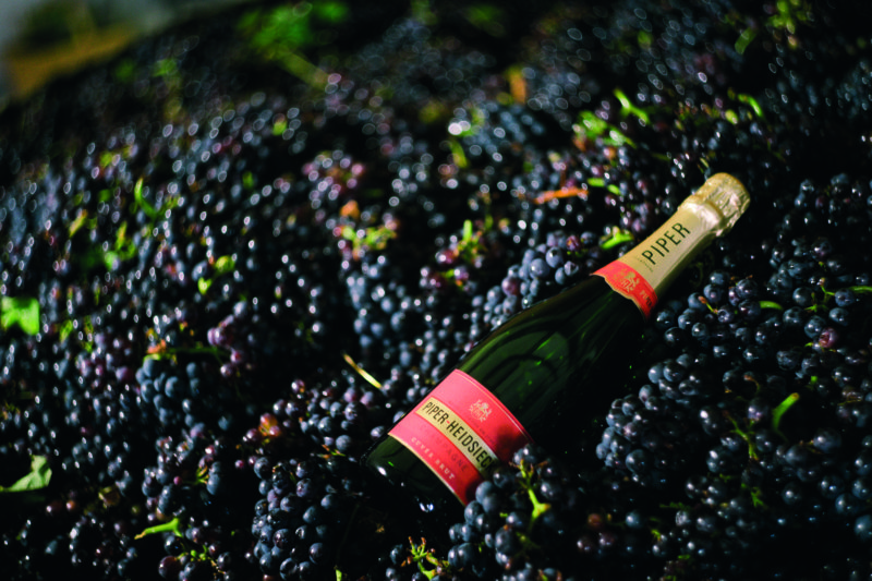 https://tasteoffrancemag.com/wp-content/uploads/2019/07/Cuv%C3%A9e-Brut-grapes-e1562141730286.jpg