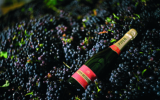 Nectar of the stars: behind the scenes at Champagne Piper-Heidsieck