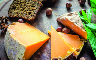 Mimolette: cheese with a mity secret