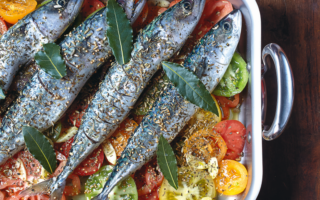 Mackerel with tomatoes
