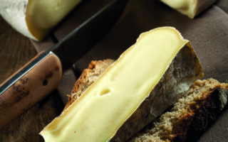 Cow zenitude: the secret behind velvety Saint-Nectaire