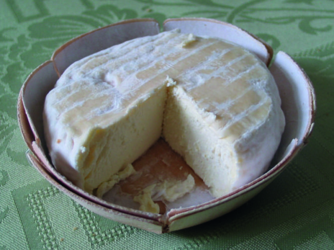 Cheese wire…  Saint-Marcellin