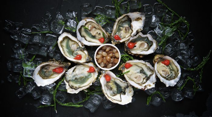 oyster festival