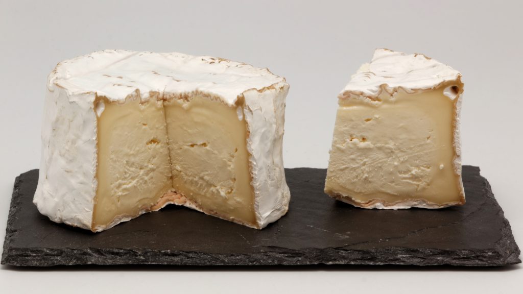 Chaource cheese from the Aube in the Champagne-Ardenne region