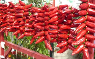Don’t miss the Espelette Pepper Festival 2019