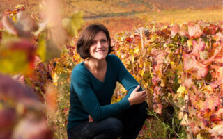Meet the first female winemaker of Hospices de Beaune