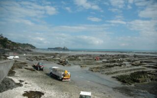 Cancale oysters win UNESCO recognition