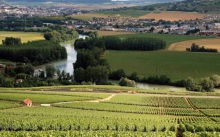 Why is the Champagne region so small?