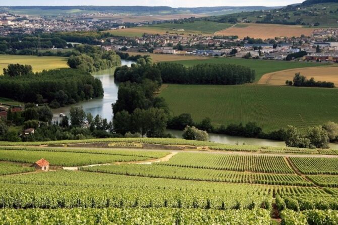 Why is the Champagne region so small?
