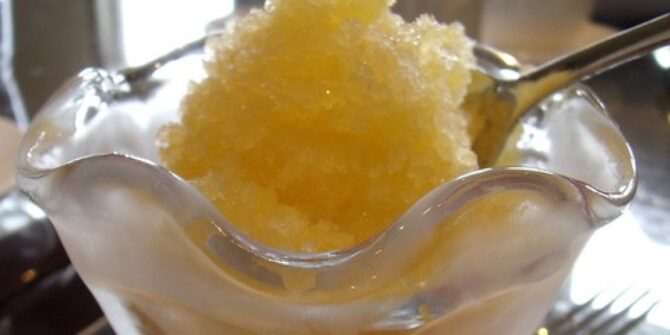 Granité de Melon au Champagne