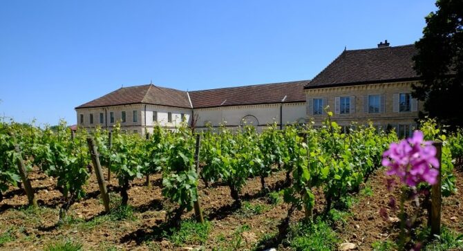 Win a one day bike & wine tour in Côte de Beaune worth €139