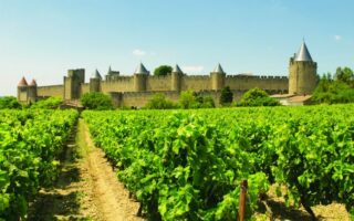 A taste of… Languedoc-Roussillon