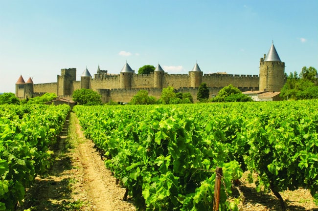 Historic Carcassonne presents a spectacular backdrop for the Languedoc vineyards
