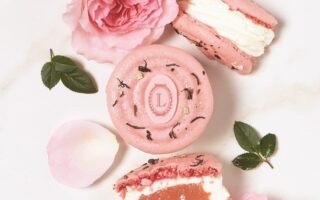 A potted history of macarons