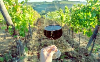 Dry January in France