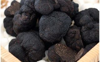 Win a French truffle tree package worth £350