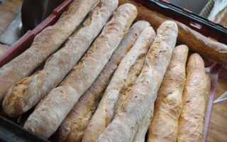Endangered species: the French baguette faces extinction