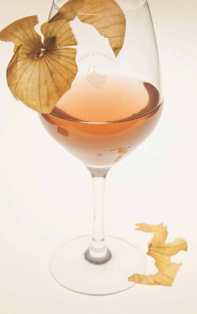Dark coloured rose in a wine glass