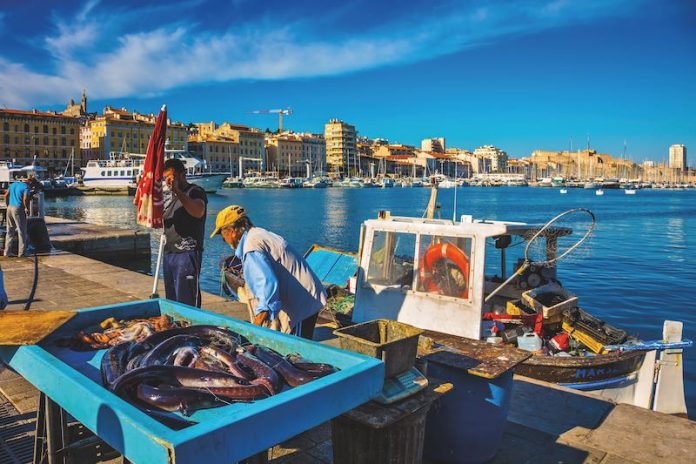 The morning fish market in the old port of Marseilles. Fishermen are laid out on the counter fresh catch