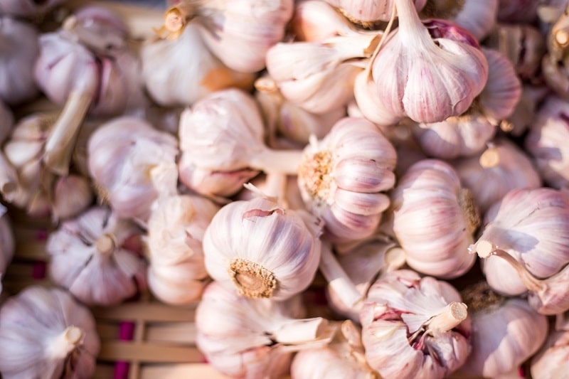 Garlic bulbs