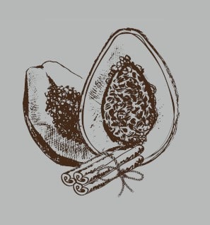 Papaya drawing