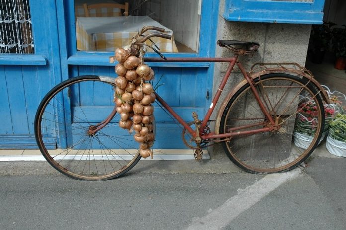 onion bicycle in roscoff brittany