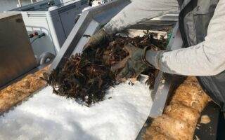 Try seaweed in your gin on the Île de Ré