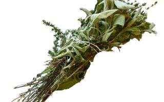 Do you know your bouquet garni from your herbes de Provence?