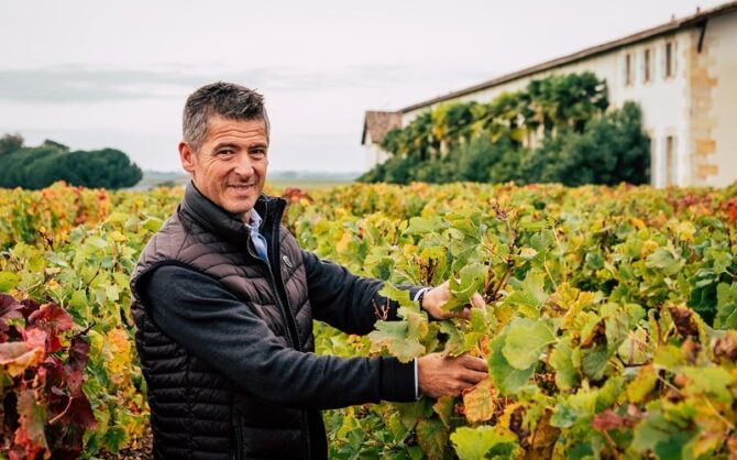 Treat yourself to your very own vineyard (well, a bit of one!)
