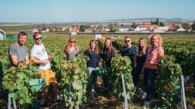 Harvest Day for the Cuvée Privée Team in 2019 at Champagne Forget-Chemin
