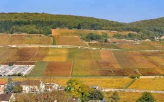 Three of France’s best wine routes