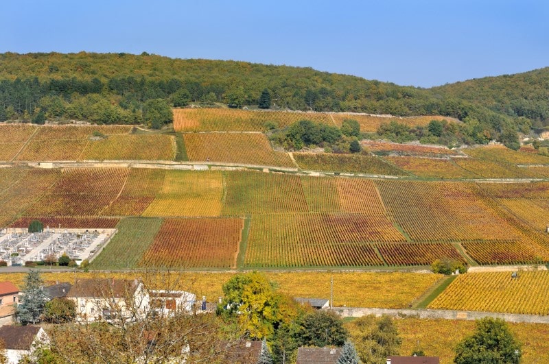 Climats of burgundy