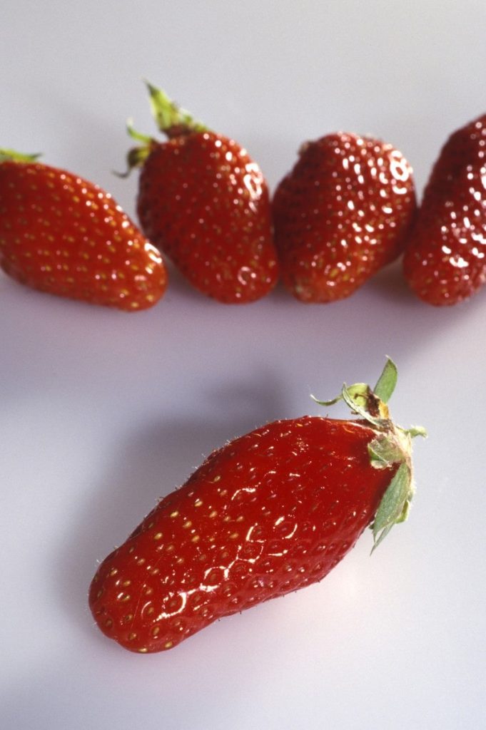Gariguette strawberries