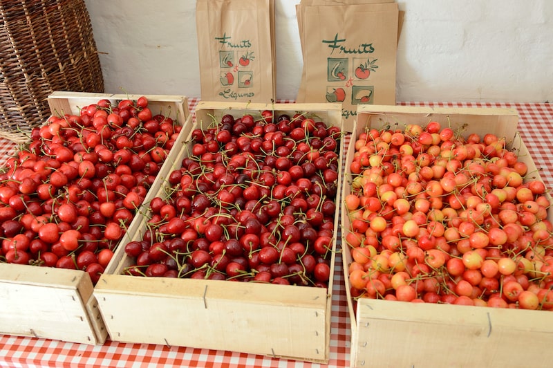 varieties of cherries