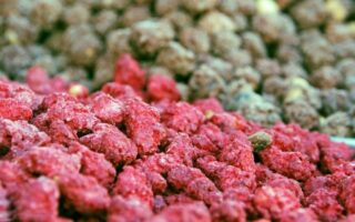 Lyon to host first world praline competition