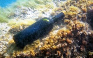 Wine submerged in a pond for a year to see how it ages