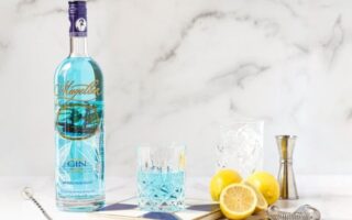 Magellan gin: the original blue gin, handcrafted in France