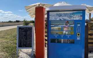 Bon appétit: Aw shucks – oysters 24/7