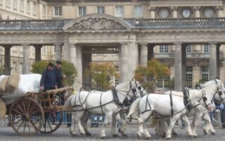 Giddy up for La Route du Poisson