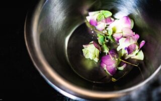 Six new eco-aware restaurants receive the Michelin Green Star