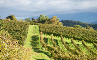 Don’t miss out: Monein’s Wine and Gastronomy Festival