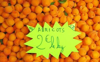 At the market… apricots, the first fruit of summer