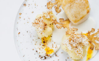 Coquille Saint-Jacques